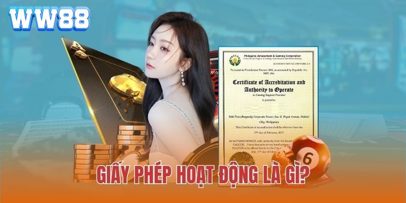 Giới thiệu sơ lược về giấy phép kinh doanh WW88